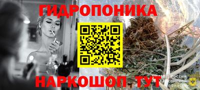 метадон Можга
