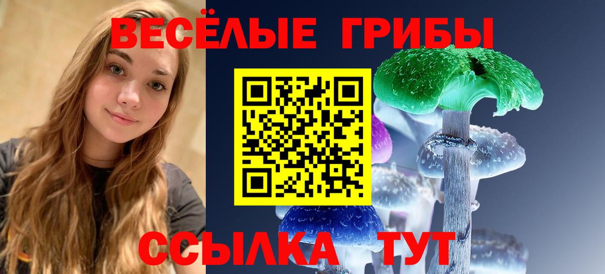 Галлюциногенные грибы Cubensis  Вход с VPN  Тосно  Галлюциногенные грибы Cubensis 